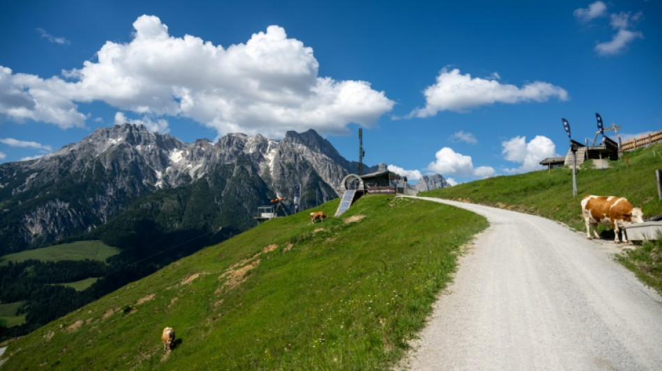 80 Milliarden Euro: Reiseverband hebt Umsatzprognose für laufendes Reisejahr an