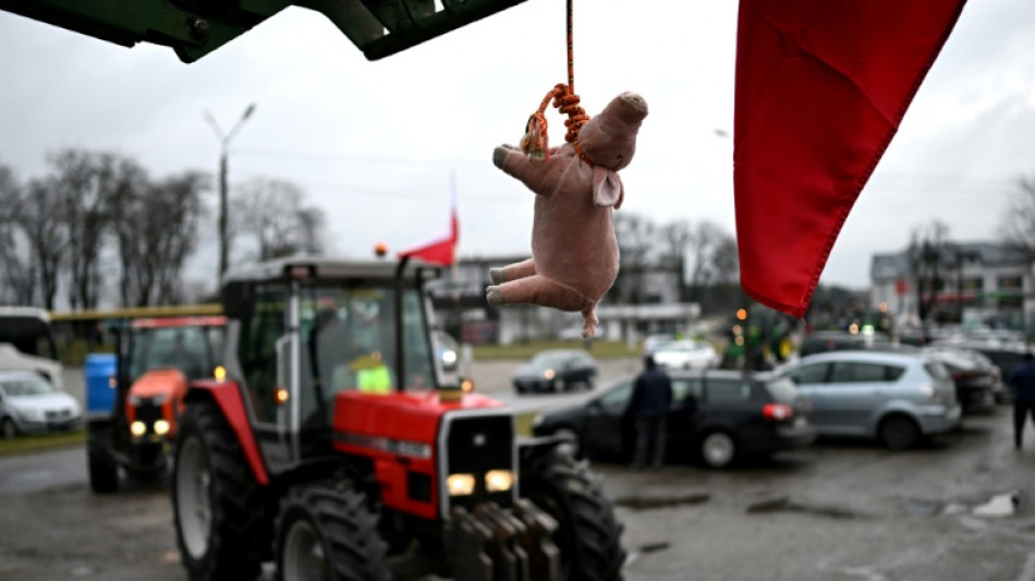 Pologne: les agriculteurs bloquent une centaine de routes et les passages vers l'Ukraine