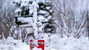 L'Iowa balayé par une tempête de neige à trois jours de primaires cruciales pour Trump