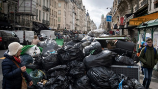 Las montañas de basura, la nueva atracción turística en París