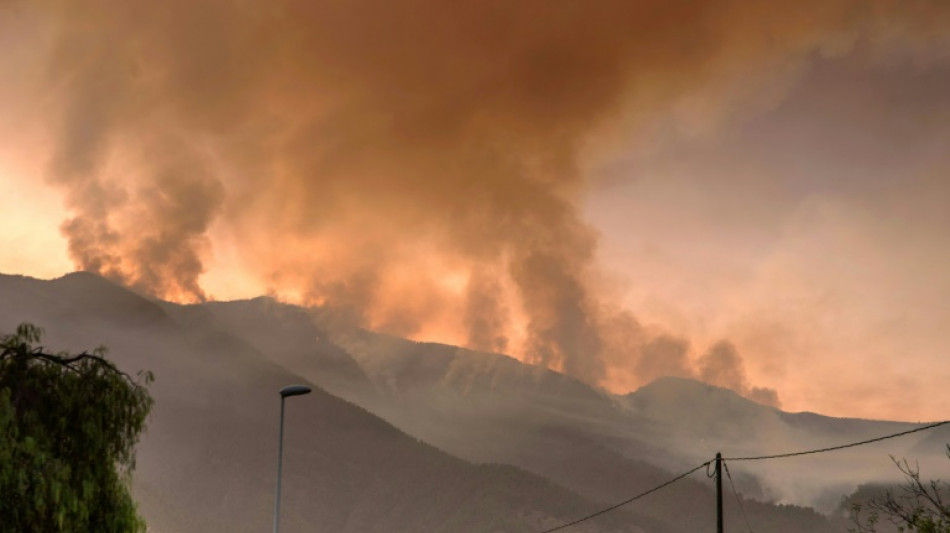 Un incendio en la isla española de Tenerife avanza sin control