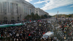 Des milliers de manifestants à Washington pour demander un "cessez-le-feu" à Gaza