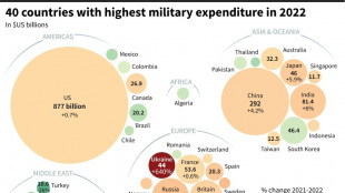 Highest military spending in Europe since Cold War: study