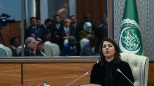 Arab states boycott regional meet in divided Libya's capital