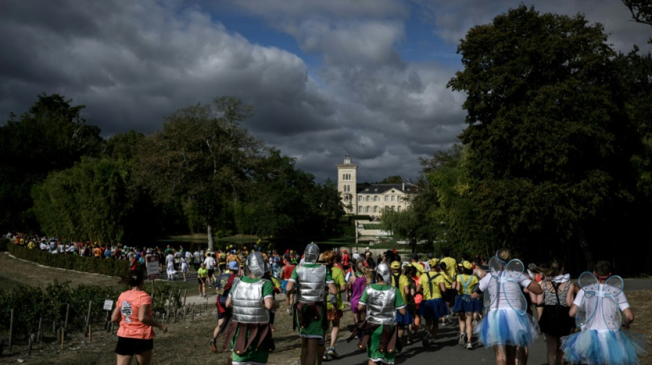 Dans le Médoc, grands crus, huîtres et entrecôte au menu du marathon "le plus long du monde"