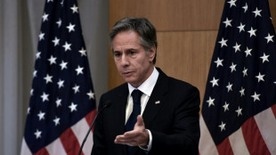 US's Blinken says no plans to meet Russia, China at G20