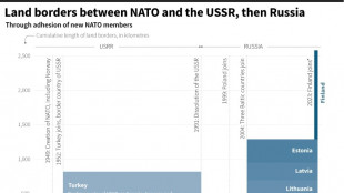 Finland in NATO: strategic shift with limited material gain