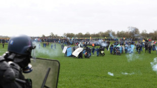 Protester fighting for life after France water protest clashes: prosecutor