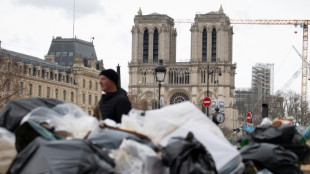 Grève des éboueurs à Paris: vers une sortie de crise