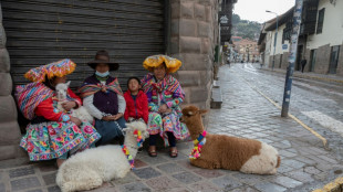 Peru tourism industry in 'free fall' as Machu Picchu closed by protests