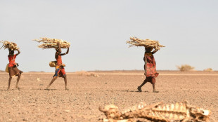 Somalie: un million de personnes déplacées par la sécheresse