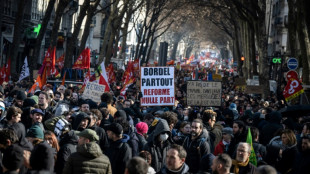 Retraites: les députés se penchent sur les régimes spéciaux, mobilisation moins suivie pour le 3e round