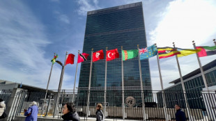 Bon vent ! Enfin un accord à l'ONU sur le traité pour protéger la haute mer