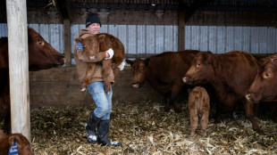 DeSantis plutôt que Trump: ces agriculteurs de l'Iowa ont fait leur choix