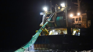 Pour la première fois, les pêcheurs appellent à des "journées mortes" dans les ports