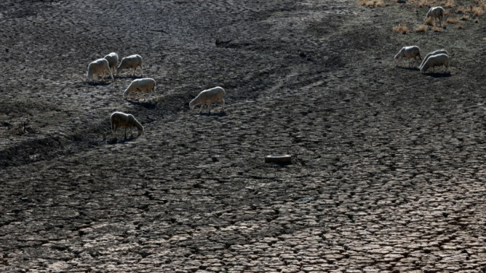 Heat waves cost poor countries the most, exacerbating inequality 