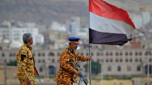 Yemen prisoner exchange postponed to Friday: official