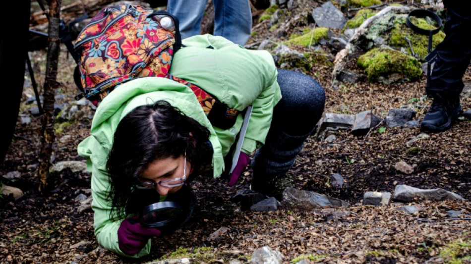 Chile's distant paradise where scientists study climate change