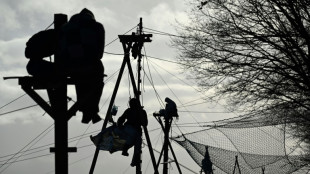 Anti-coal protesters dig in as German police clear protest camp