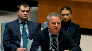 For all its flaws, don't 'turn back on UN,' says Ukraine envoy