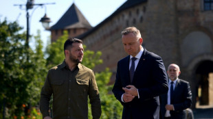 Zelensky mise sur le sommet de l'Otan à Vilnius