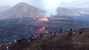 Swarm of quakes rumble around Icelandic capital area