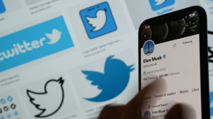 Twitter inaccessible en Turquie, où les critiques en ligne fusent contre la réaction des autorités face au séisme  