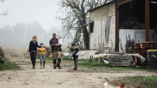 Journal d'un agriculteur: "Nous, on veut profiter de nos enfants"