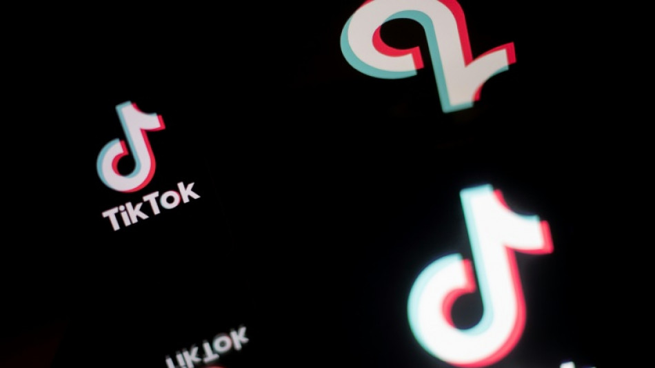 Österreich verbietet Tiktok auf Diensthandys von Staatsangestellten 