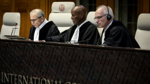 'Hardly anything' will deter Israel's Gaza war: S.Africa judge on ICJ case