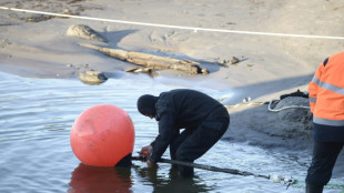 Schäden an zwei Unterwasser-Kabeln in der Ostsee wecken Verdacht auf Sabotage