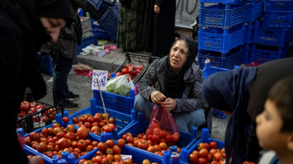 Erdogan's priorities for last term as Turkey president