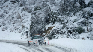 Fuertes nevadas cubren el sur de California