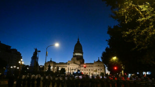 Argentine: les réformes de l'ultralibéral Milei passent une première étape au Parlement