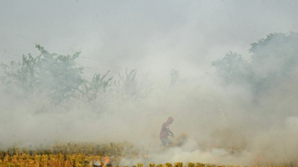 India's capital to shut schools as toxic smog chokes city