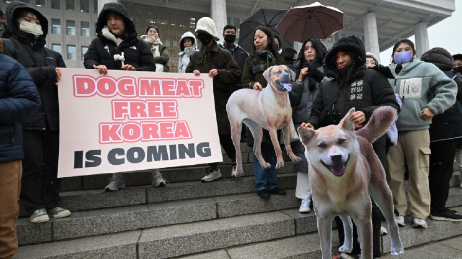 Parlamento da Coreia do Sul proíbe o comércio de carne de cachorro