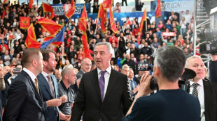 Montenegro votes in presidential runoff