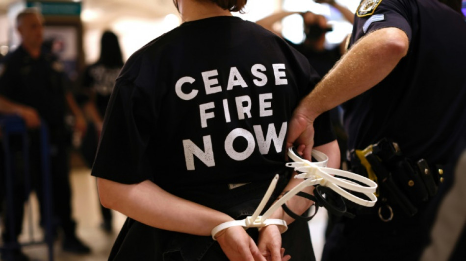 Des centaines d'arrestations à New York pendant une manifestation juive de soutien à Gaza