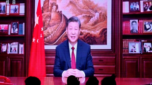 Presidente da China enaltece 'resistência' de sua economia 