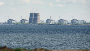 IAEA team heads to nuclear plant, Ukraine launches offensive in south