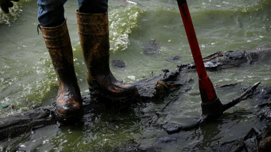 Oil-tainted lake a symptom, and symbol, of Venezuela's collapse