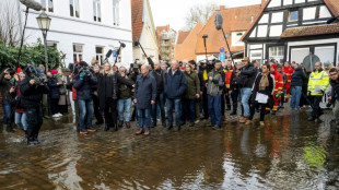 Olaf Scholz appelle les Allemands à l'unité face aux inondations