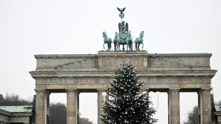 Des activistes du climat décapitent le sapin de Noël de Berlin