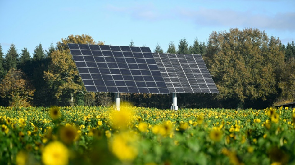 Electricité: les Français se tournent vers le soleil