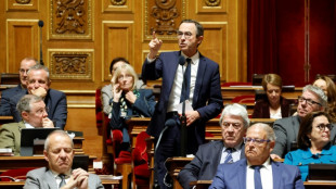 Loi immigration: adoption en vue d'une version musclée au Sénat