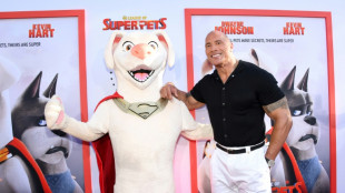 DC's 'Super-Pets' tops N.America box office