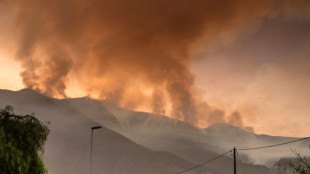 Spain's Canary Isles battle 'most complex fire' in 40 years