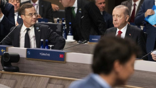 Turkey's Erdogan warns against NATO-Russia conflict