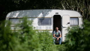 Le boom du cannabis légal suscite des vocations d'agriculteurs en France