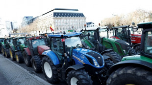 "Il faut que ça change!": Bruxelles, épicentre de la colère agricole